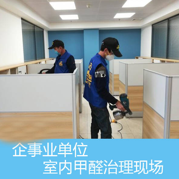 企事業單位國企新辦公室除甲醛方法治理項目